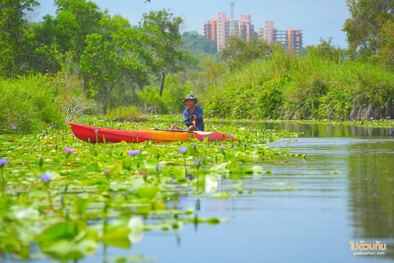 12 RAYONG BOTANIC GARDEN