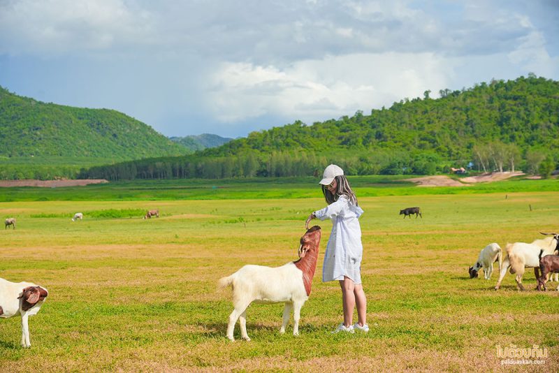 เที่ยวเขื่อนปราณบุรี  