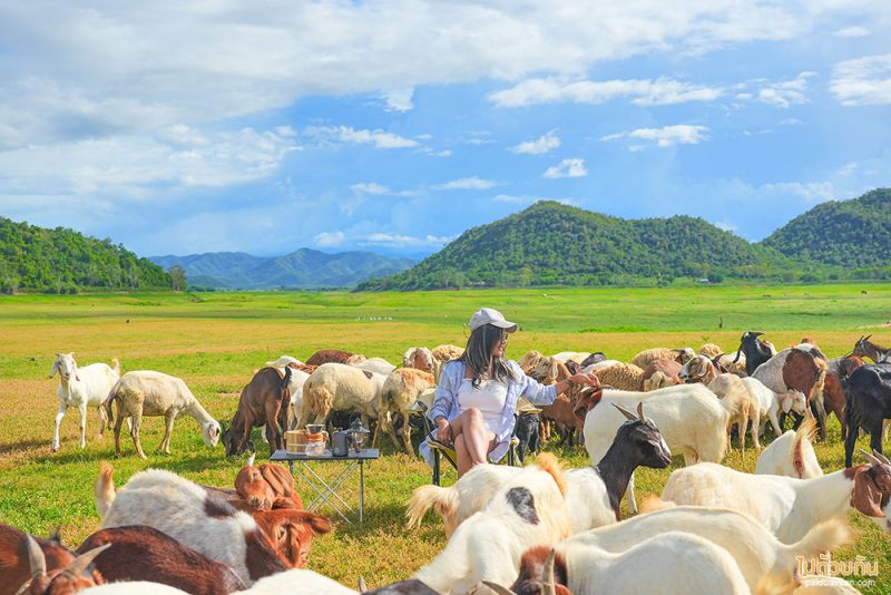 เที่ยวเขื่อนปราณบุรี  