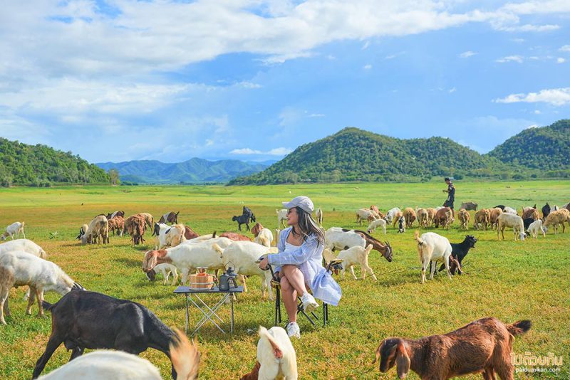 เที่ยวเขื่อนปราณบุรี  