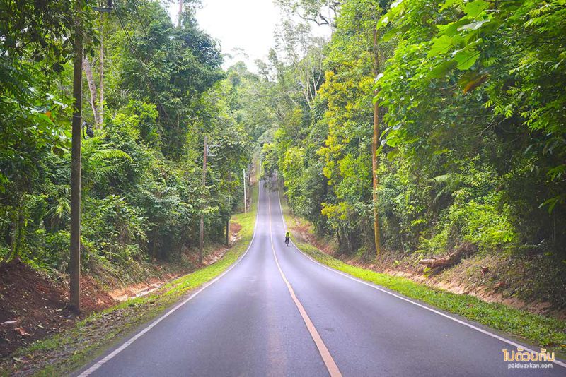 อุทยานแห่งชาติเขาใหญ่ 