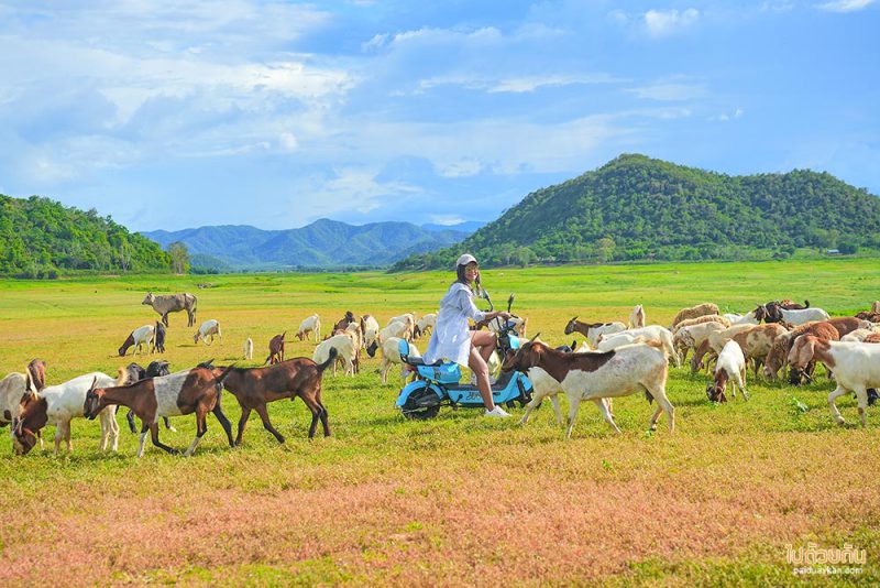 เที่ยวเขื่อนปราณบุรี  