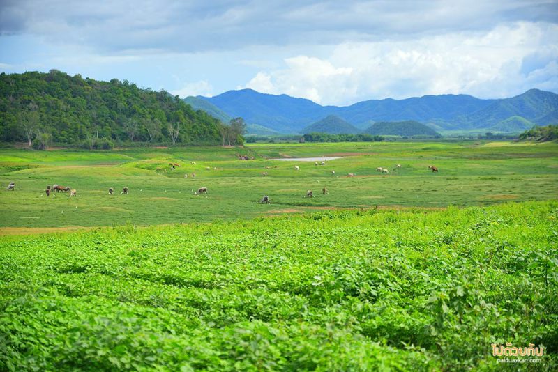 5 Pranburi Dam