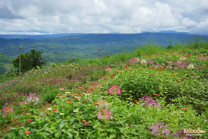 บ้านน้ำจวง