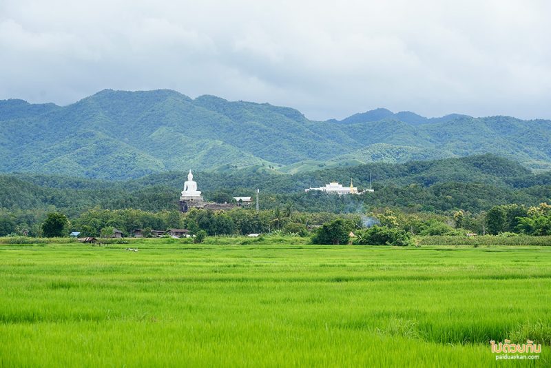 วัดพระธาตุปูแจ