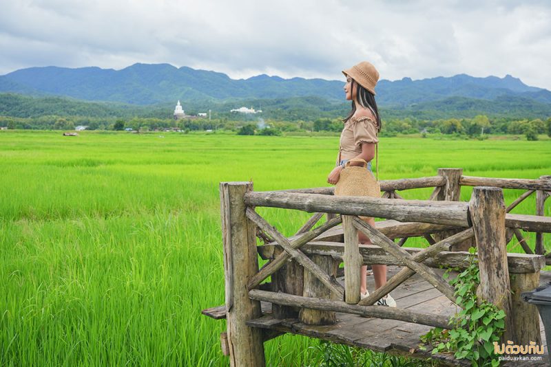 วัดพระธาตุปูแจ