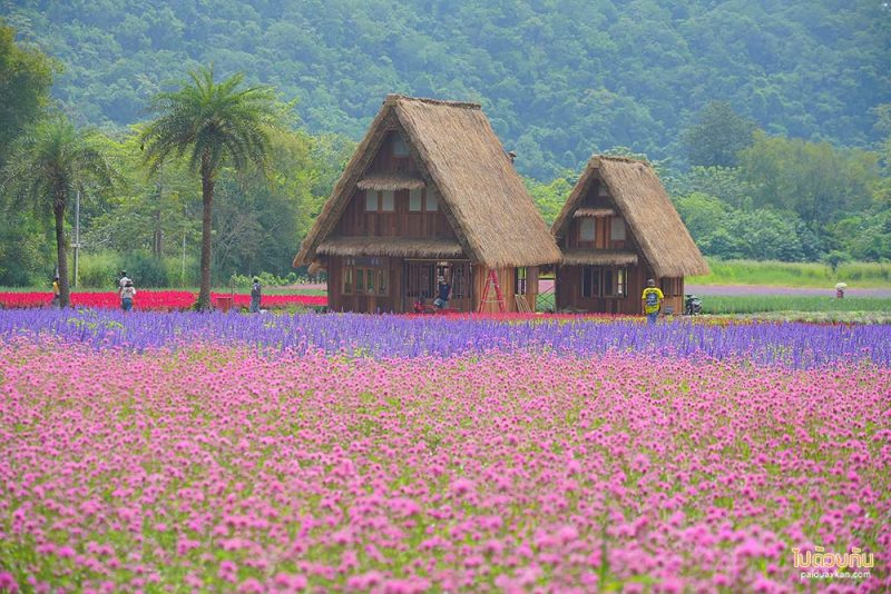 Hokkaido Flower Park 
