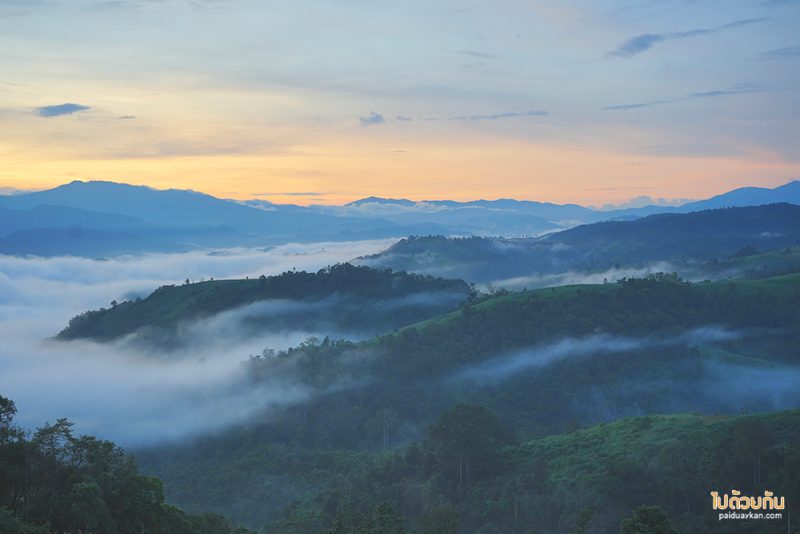 ภูสายหมอก