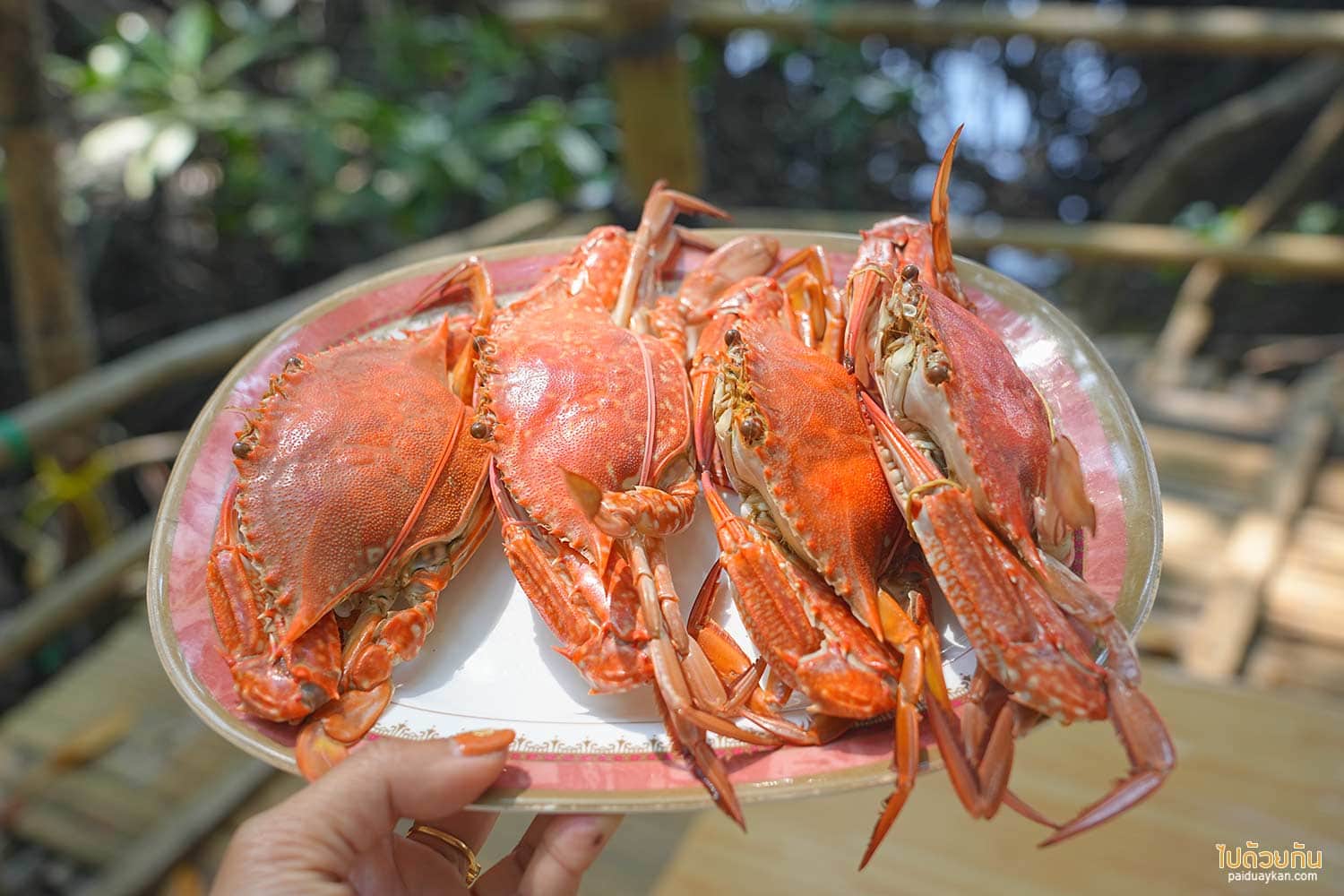 20 Crab Bank Khlung
