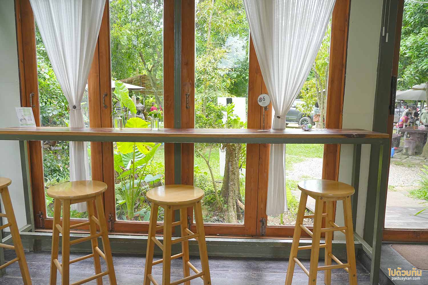 คาเฟ่สวนป่าเรียน