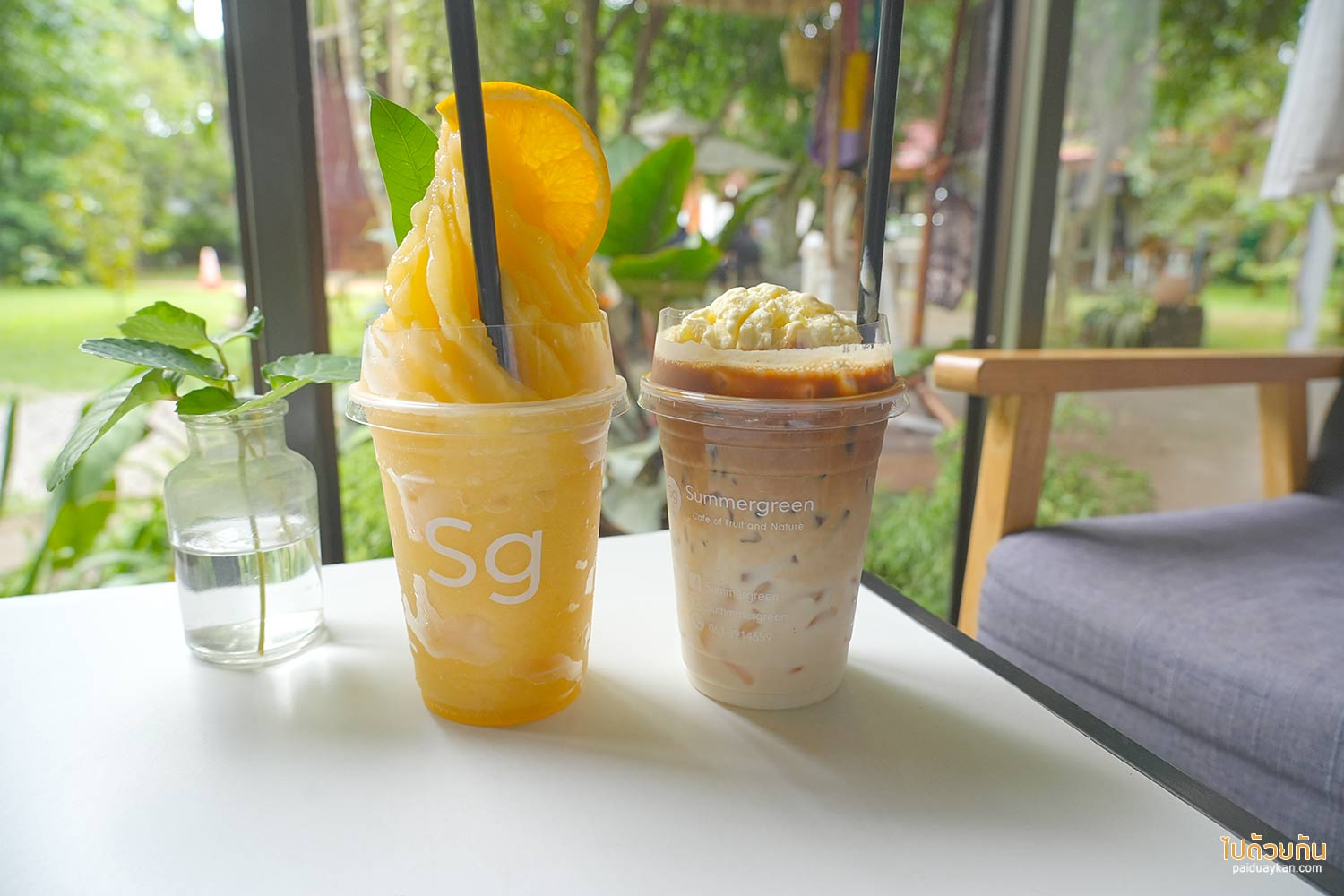 คาเฟ่สวนป่าเรียน