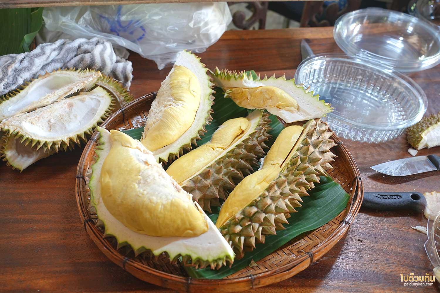 สวนป้าเรียน