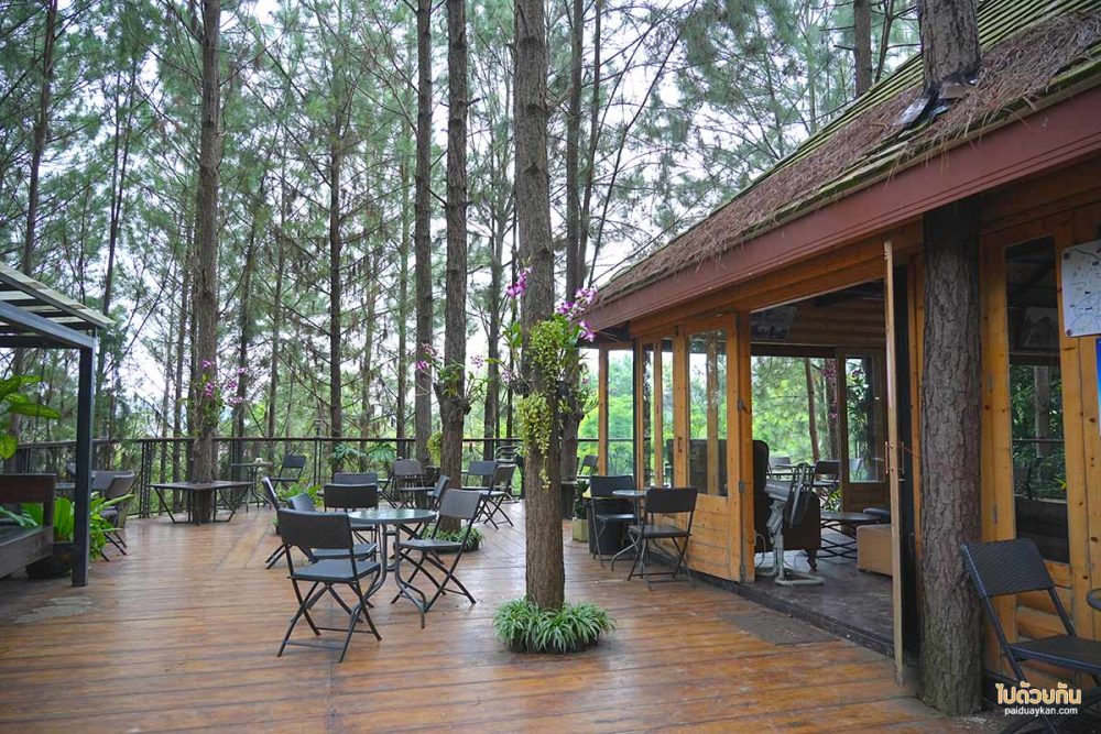 Cedar café