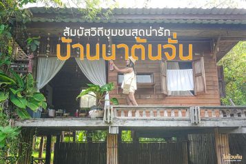 บ้านนาต้นจั่น