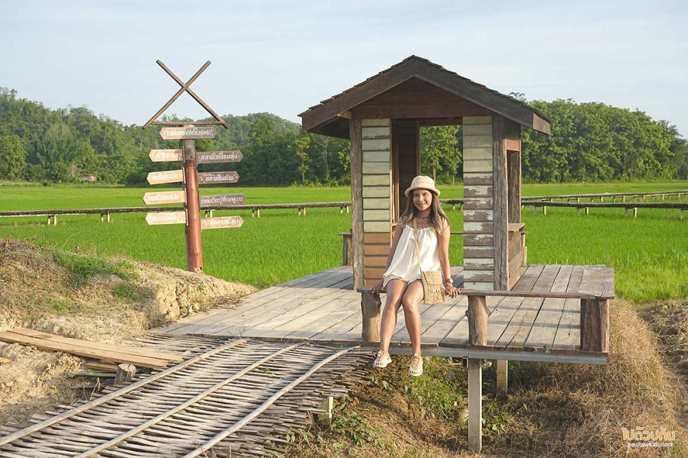 สะพานไม้ไผ่สานฝัน
