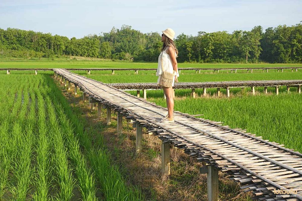 สะพานไม้ไผ่สานฝัน