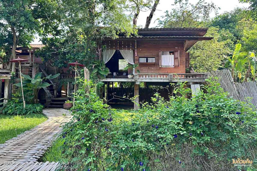 บ้านนาต้นจั่น