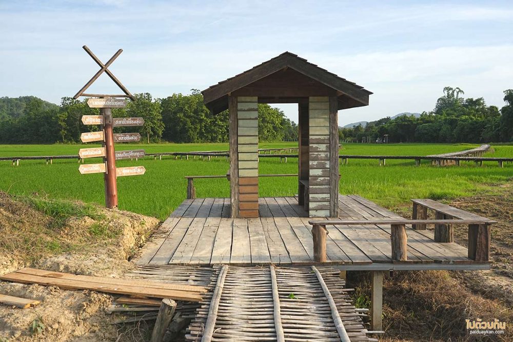 บ้านนาต้นจั่น