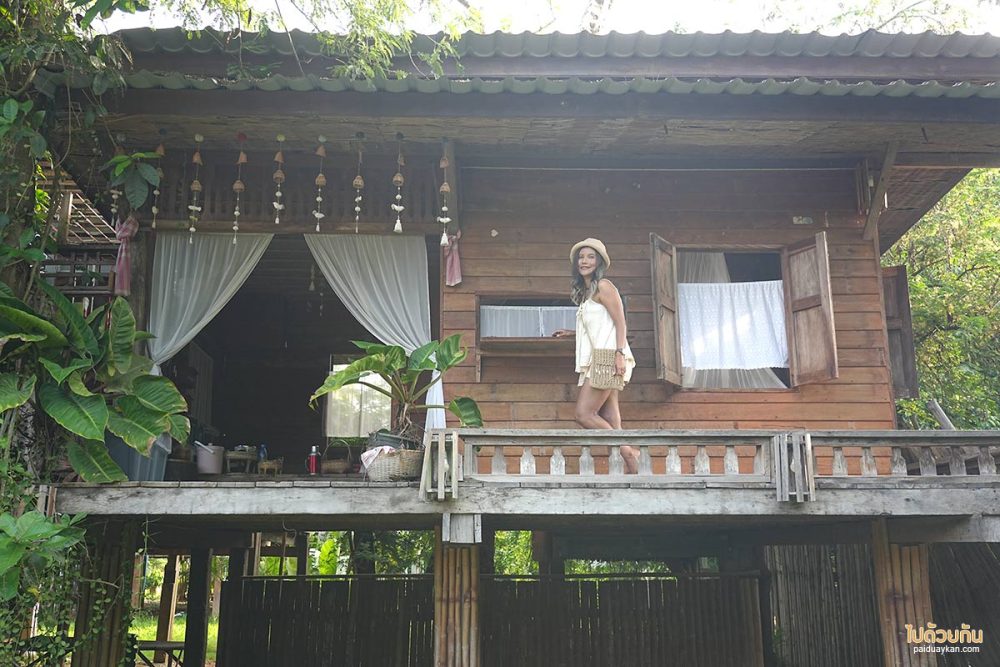 บ้านนาต้นจั่น