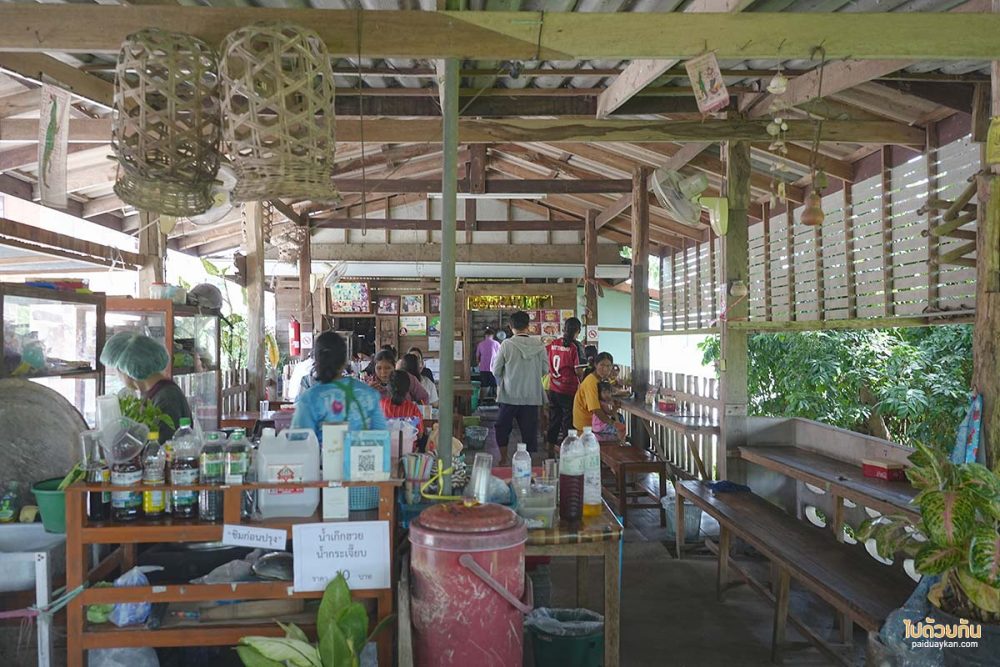 หมี่ข้าวพันผัก”