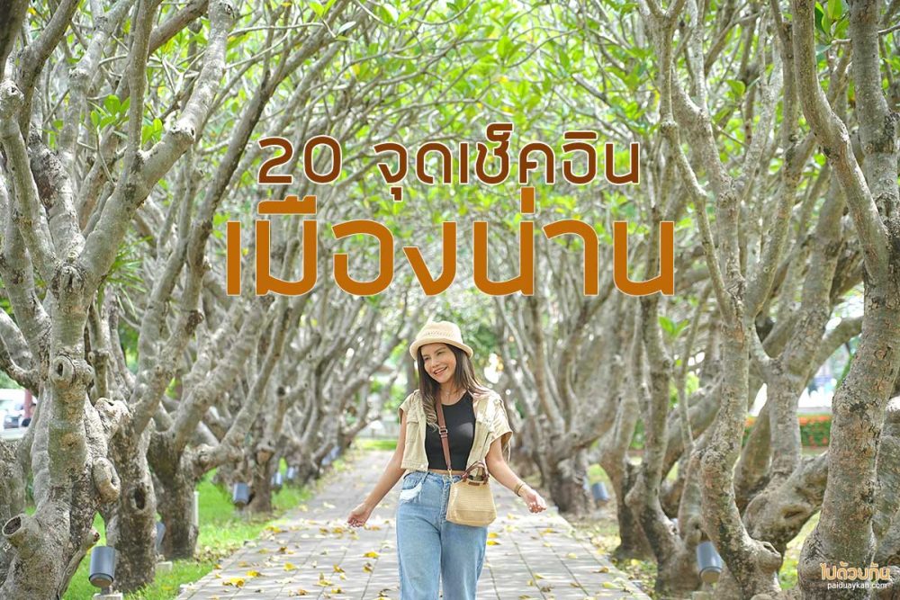 ที่เที่ยวน่านในเมือง