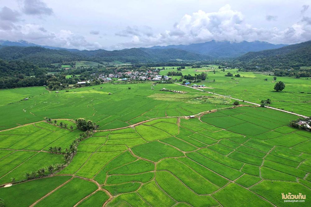 เมืองคอง