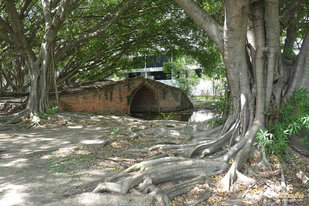 สะพานป่าดินสอ