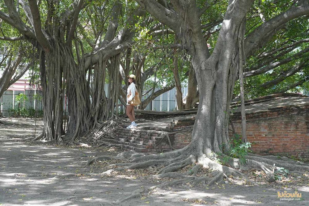 สะพานป่าดินสอ