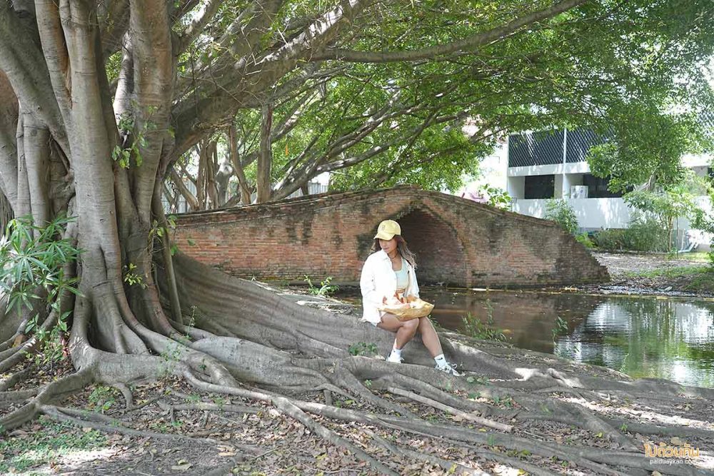 สะพานป่าดินสอ