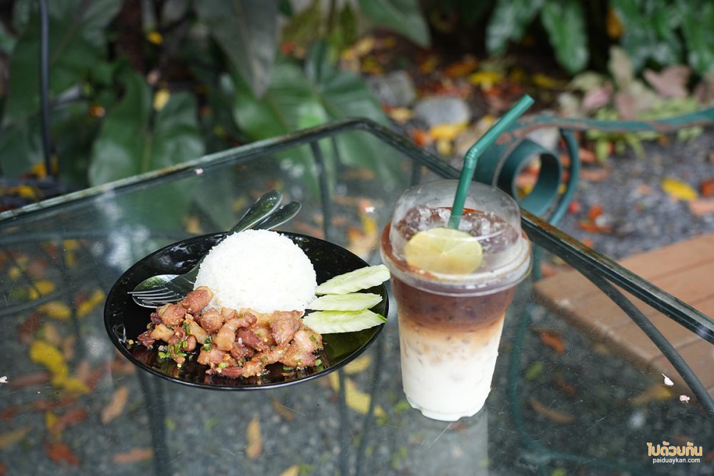 By ใบ House & Cafe