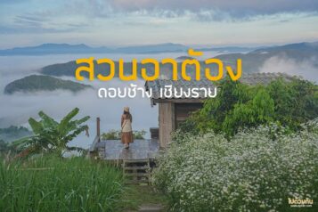 สวนอาต้อง ดอยช้าง