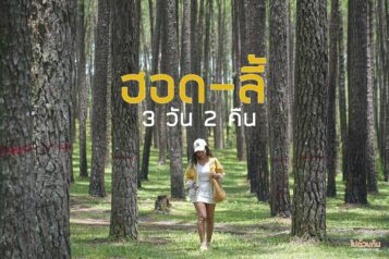 เที่ยวฮอด ลี้