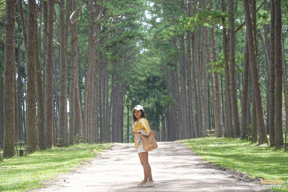 สวนสนบ่อแก้ว