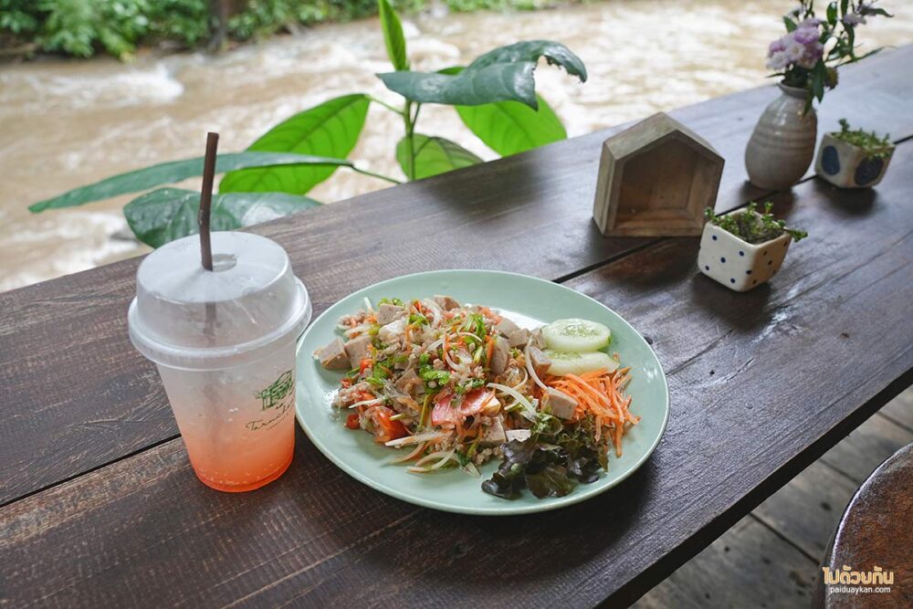 ธารชีวี