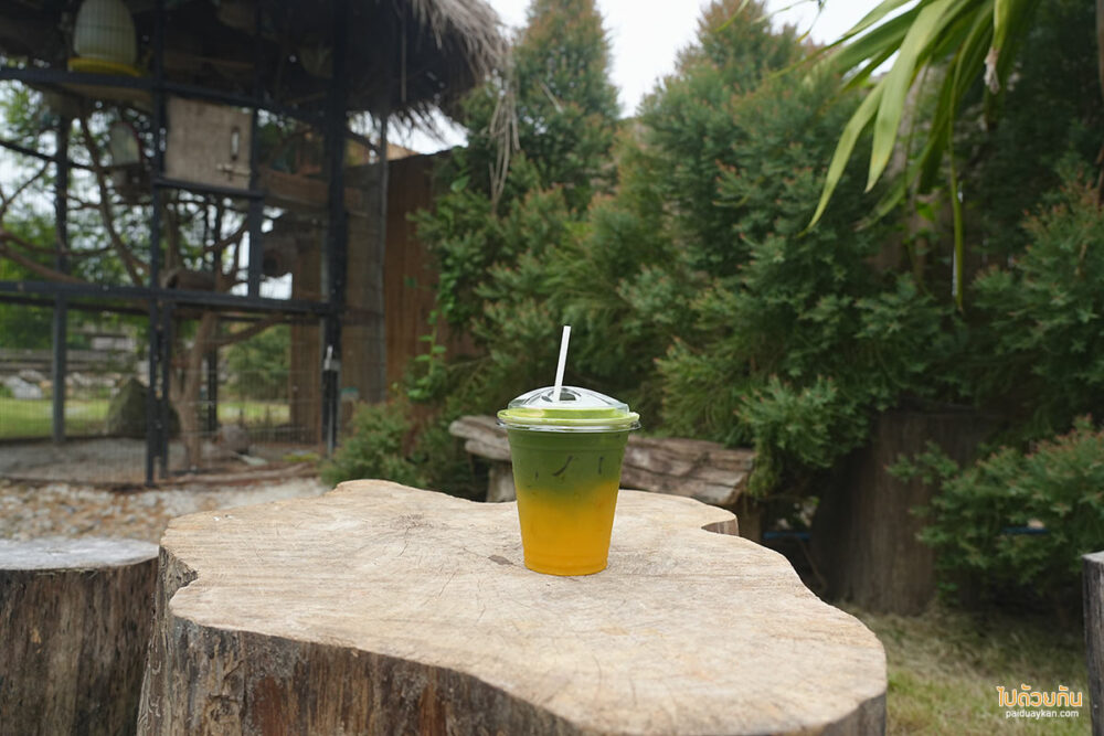 419 home café