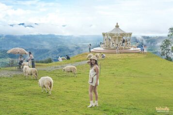 Akha FarmVille ฟาร์มแกะดอยช้าง