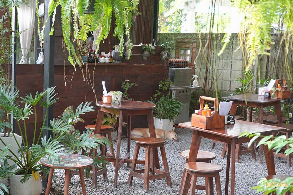 ข้าวงาย