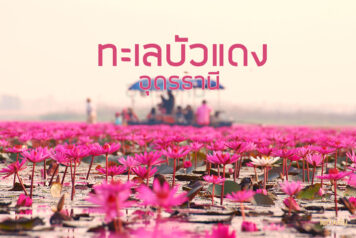 ทะเลบัวแดง อุดรธานี