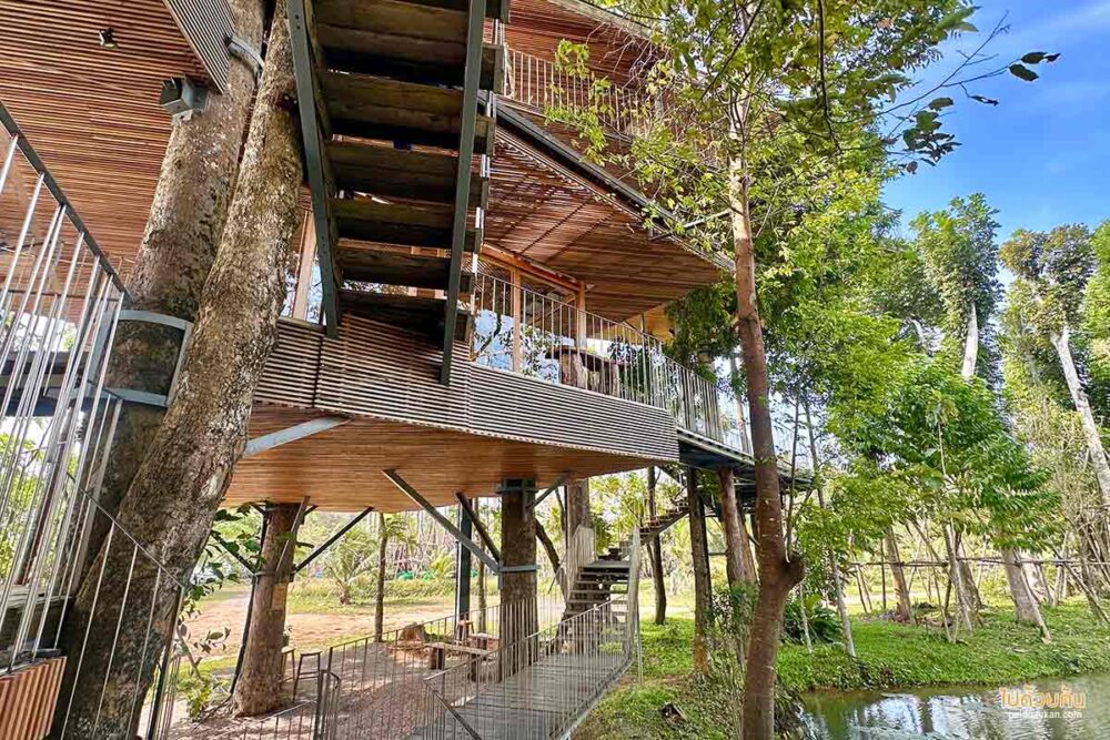 บ้านต้นไม้อวดชุม ชุมพร