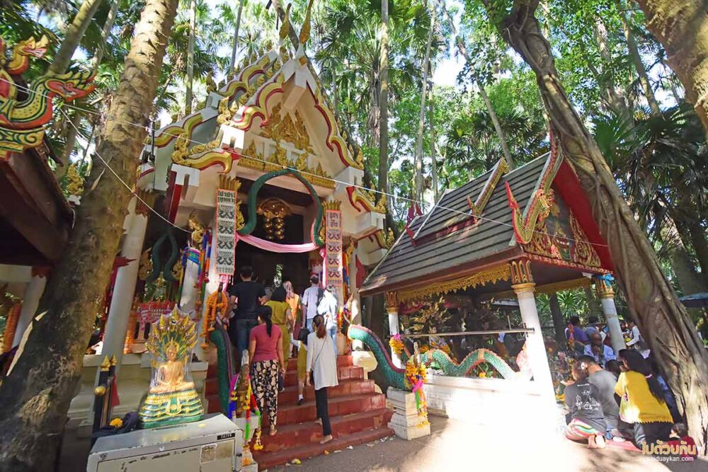 คำชะโนด