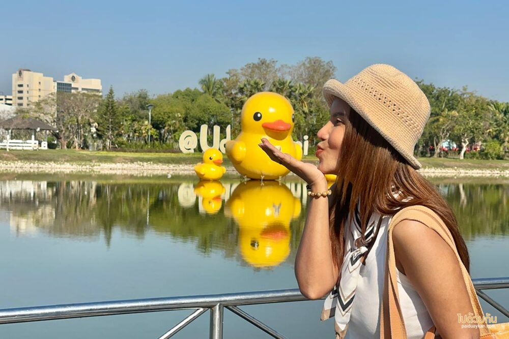 เป็ดเหลือง หนองประจักษ์
