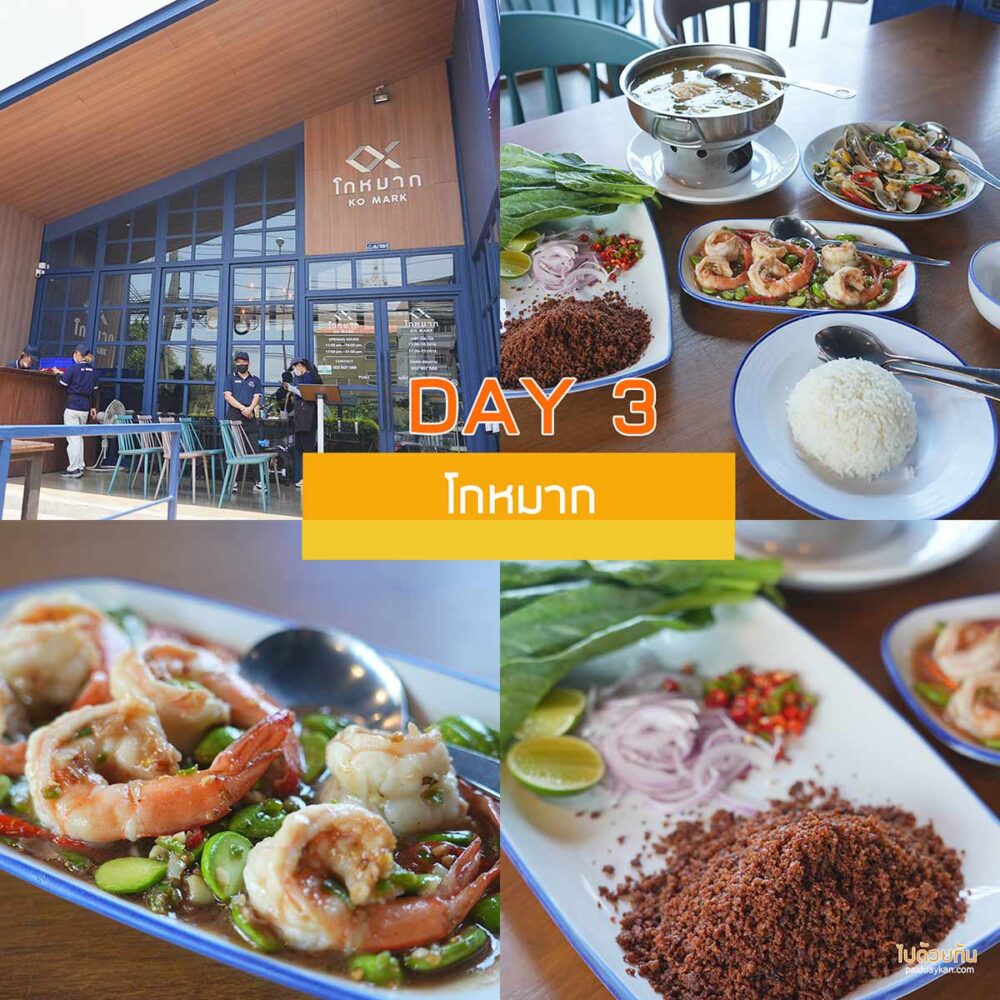 โกหมาก 