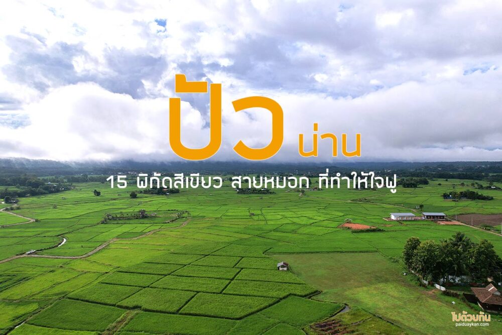 เที่ยวปัว