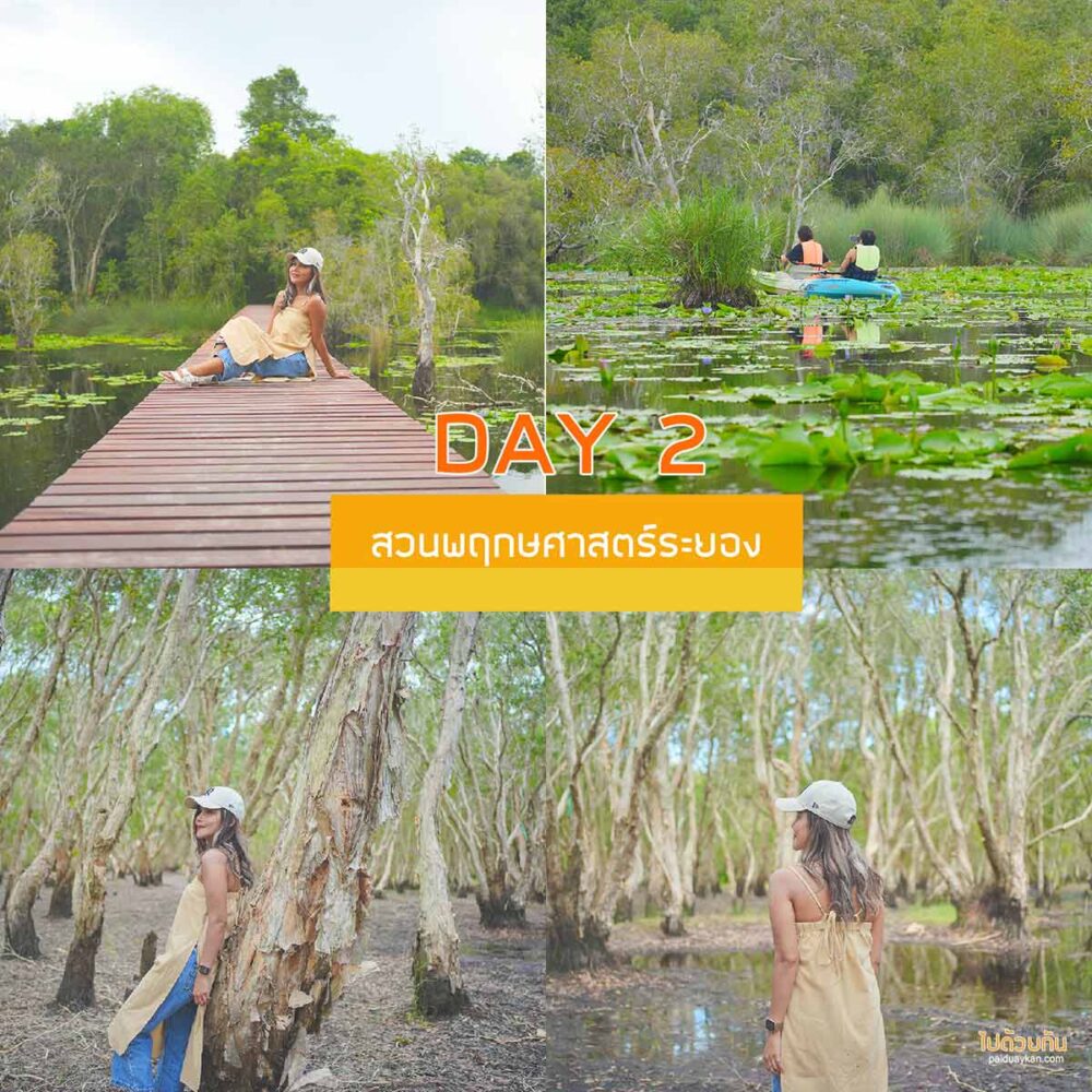 สวนพฤกษศาสตร์ระยอง 