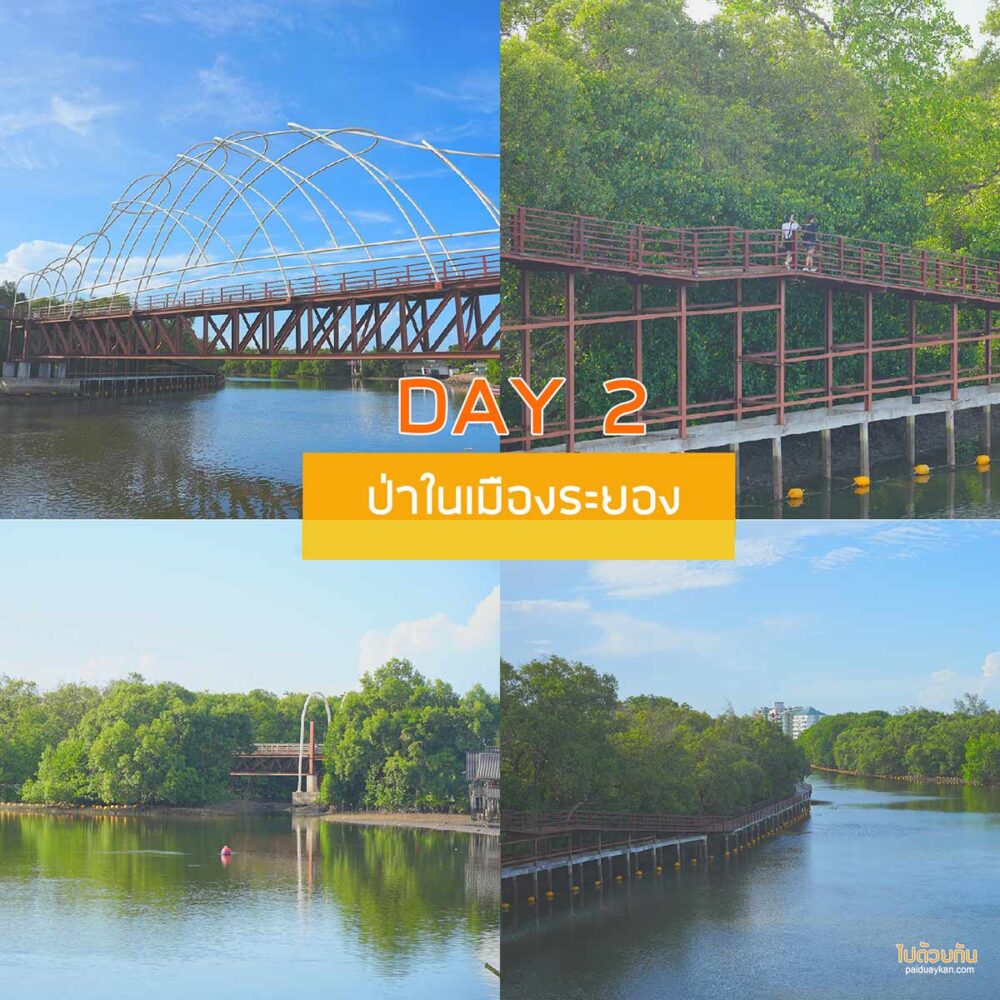 ป่าในเมืองระยอง 